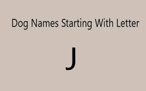Along with josephine, j names for girls ranking in the us top 200 are julia, jade, jasmine, jordyn, juliana and juliette, josie, and jocelyn. Extraordinary Dog Names Starting With Letter J Both Male And Female