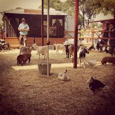 Mission we will continue and always strive to be the best mobile petting zoo in georgia! Farmer Darryl S Mobile Animal Farm Photos Facebook