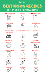Best Kong Recipes 21 Things To Put In A Kong Pupford