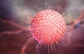 Image result for herpes zoster