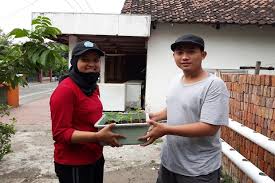 Hal ini dapat mengharumkan nama malaysia apabila produk inovasi ini diperkenalkan di luar negara. Di Tengah Pandemi Kkn Mahasiswa Unair Fokus Tanaman Hidroponik