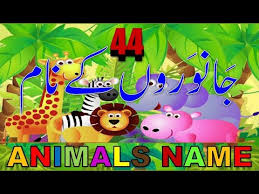 For many animals, particularly domesticated ones, there are specific names for males,. Animals Name In English Urdu With Pictures Sounds Farm Animals Pet Animals Wild Animals Youtube