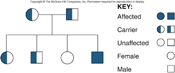 Genetic Disorders