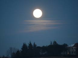 anche con iniziale maiusc., satellite naturale. La Prima Luna Piena Del 2021 E Quella Del Lupo