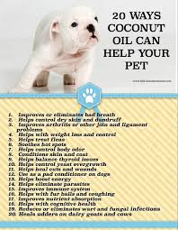 Coconut Oil For Pet Health Pets Dogs Coconut Oil For Dogs