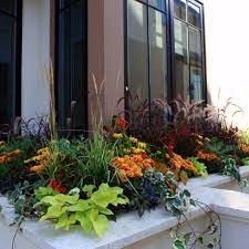 Is it your best friend's birthday? Fall Window Box Ideas And Pictures