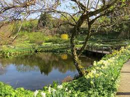 Wasser wirkt belebend, wasser wirkt beruhigend, es erfrischt uns an heißen sommertagen und es für jeden garten, ganz gleich ob groß oder klein bieten sich zahlreiche möglichkeiten badeoasen in. Wasser Im Garten Bienentranke Bis Schwimmteich Garten Ch