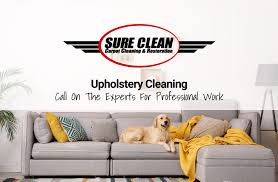 Stephen did an amazing job on our carpets and furniture today. Upholstery Cleaning Sure Clean Carpet Cleaning Restoration