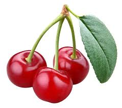 Chto Takoe Vishnya Frukt Ili Yagoda