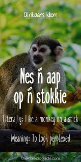 Pin On Afrikaans My Taal