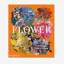 Coffee table books allow glimpses, however temporary, into new possibilities. 41 Best Coffee Table Books To Give As Gifts 2021 The Strategist