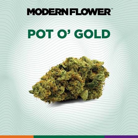 Shop MF-Flower-3.5g-PotoGold-H-MD Online | Trulieve