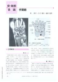 中央部は三角柱状で、上端は上腕骨・尺骨と、下端は手根骨および尺骨とそれぞれ関節をなす。 〔医語類聚（1872）〕 出典 精選版 日本国語大辞典 精選版 日本国語大辞典について 情報 æ‰‹é–¢ç¯€ Medicina 38å·»11å· åŒ»æ›¸ Jp