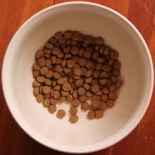 What to look for when buying puppy food for labs? Why You Should Never Trust Dog Food Advisor Pethelpful By Fellow Animal Lovers And Experts