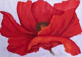 Image result for Poppy Red 1999 AAV