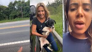 She is an actress, known for araguaia (2010), sete vidas (2007) and quem te viu. Ativistas Anitta E Luisa Mell Resgatam Caes No Meio Da Rodovia No Sentido Para Ribeirao Pires