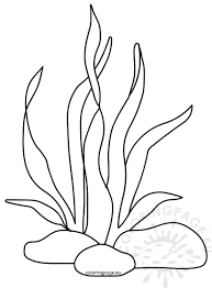 Download coral reef coloring pages and use any clip art,coloring,png graphics in your website parrot fish coloring page. Seaweed Coloring Pages Coloring Pages Ocean Coloring Pages Animal Coloring Pages