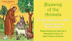 Blessed are you, lord god, maker of all living creatures. St Francis Animal Quotes Quotesgram