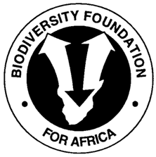 Image result for Polysphaeria dischistocalyx