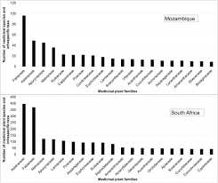 Image result for Microcharis angolensis