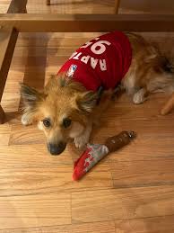 dan ehman (@votefordan)