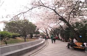Selama periode ini chingudeul harus membawa. Nikmati Korea Di Berbagai Musim Yuktravel Com