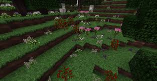 Play minigames with friends on our minecraft servers. Wolfhound Classic Medieval Resource Pack 1 17 1 16 Texture Packs
