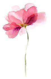 Fast Naturliche Indoor Bougainvillea Kunstpflanze In Dekorativer Urne Fast Naturliche Indoor Bougainvil Flower Art Flower Drawing Watercolor Flowers Paintings