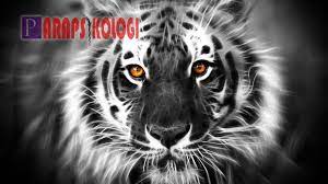 You can also upload and share your favorite gambar wallpapers macan 3d. Tertarik Memiliki Khodam Macan Putih Ini Mari Simak Cara Memanggil Khodam Macan Putih Berikut Sebelumnya Anda Harus Tahu Dulu Mantra K Putih Mantra Pengikut