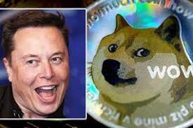 What crypto should i buy today? Dogecoin Price How Many Dogecoin Are There City Business Finance Express Co Uk