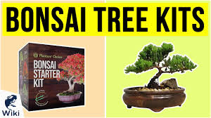 With free delivery to most areas and you can select the best delivery date at the checkout. Top 10 Bonsai Tree Kits Of 2020 Video Review