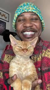 Willow The Cat Mcdonalds Rap