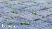 Weitere ideen zu unkrautvernichter, unkraut, pflanzenschutz. Unkrautbrenner Richtig Verwenden Mein Schoner Garten