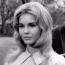 Sally Hayes's Instagram, Twitter & Facebook