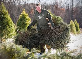 I wasn't 100% sure i was going to write a post on our christmas tree hunting adventures. Where To Chop Down Your Own Christmas Tree Locally