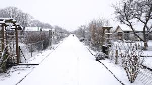 Bei azubiyo findest du mehr als 330 freie ausbildungsplätze in münster und erfährst deine persönliche eignung für jede stelle. Kleingartnerverein Uhlenhorst E V Munster Westfalen