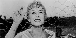 Blackbox Programm September 2020