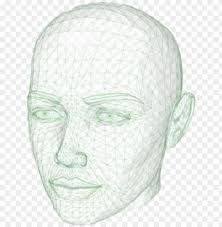 Human Head Face Forehead Drawing Outline Of The Human Head Png Image With Transparent Background Toppng human head face forehead drawing