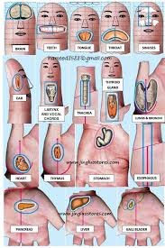 Comprehensive Sujok Points Chart Free Sujok Acupuncture