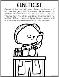 Click the dna replication split coloring pages to view printable version or color it online (compatible with ipad and android tablets). Coloring Dna Worksheets Teaching Resources Teachers Pay Teachers