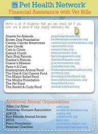 Pin On Pet Care