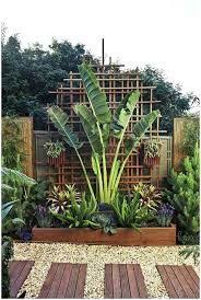 Image Result For Small Tropical Garden Ideas Uk Backyard Landscaping Designs Small Backyard Landscaping Tropical Landscaping