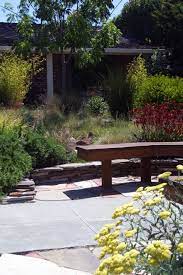 Sustainable Low Water Garden Design In San Jose California Taproot Garden Design Garden Landscape Design California Landscaping Drought Tolerant Landscape