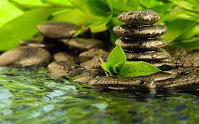 Pin On Zen