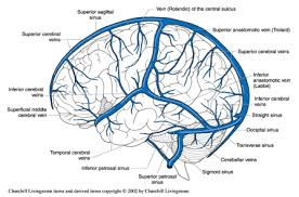 Scientists are developing new strategies for attaching drugs to molecules naturally transported across the barrier (labeled in green and blue). Stroke Medicine For Stroke Physicians And Neurologists
