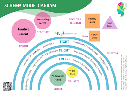 Image result for training effect schema