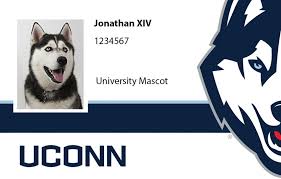 Whether you're an incoming student or a department administrator, husky card services is here for you, and our services go well beyond providing you with your campus identification card. New Husky One Cards Ready For Employee Pickup Uconn Today