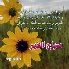 pin by eng r on صباح الخير imam ali quotes ali quotes imam ali