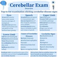 Image result for Cerebellar Function Test