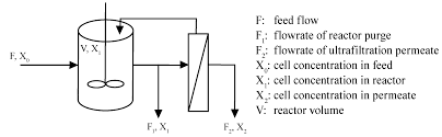 Although the microscopists of the 17th century had made detailed descriptions of plant and animal structure and though hooke had coined the term cell to describe the compartments he had observed in cork tissue, their observations lacked an underlying theoretical unity. Energies Free Full Text Continuous Fermentation Of Clostridium Tyrobutyricum With Partial Cell Recycle As A Long Term Strategy For Butyric Acid Production